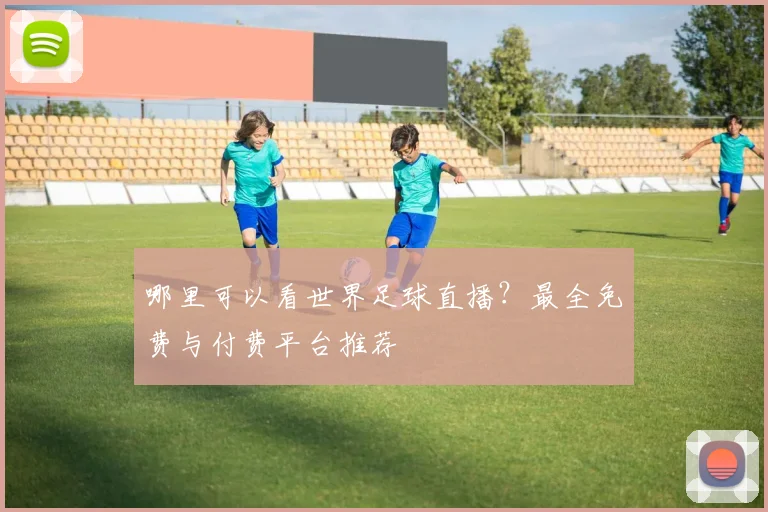 哪里可以看世界足球直播？最全免费与付费平台推荐