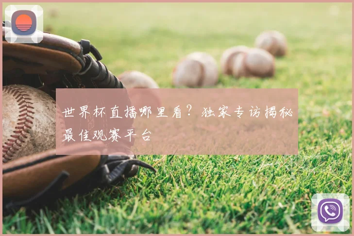 世界杯直播哪里看?独家专访揭秘最佳观赛平台