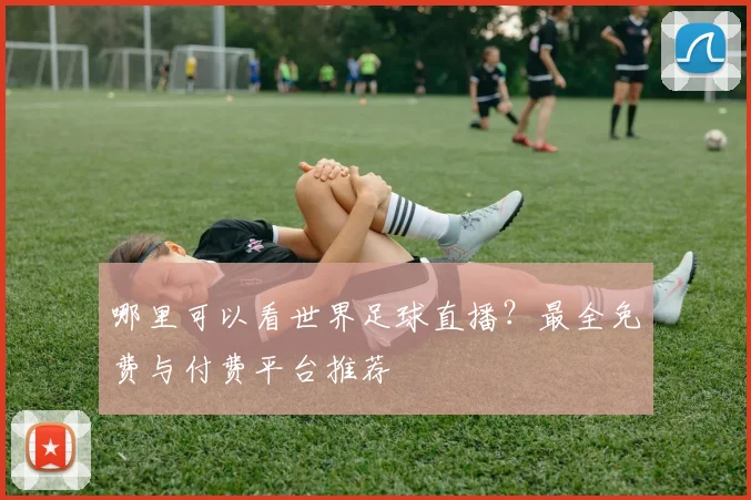 哪里可以看世界足球直播?最全免费与付费平台推荐