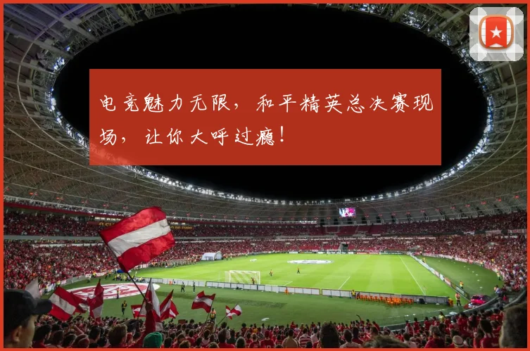 电竞魅力无限，和平精英总决赛现场，让你大呼过瘾！
